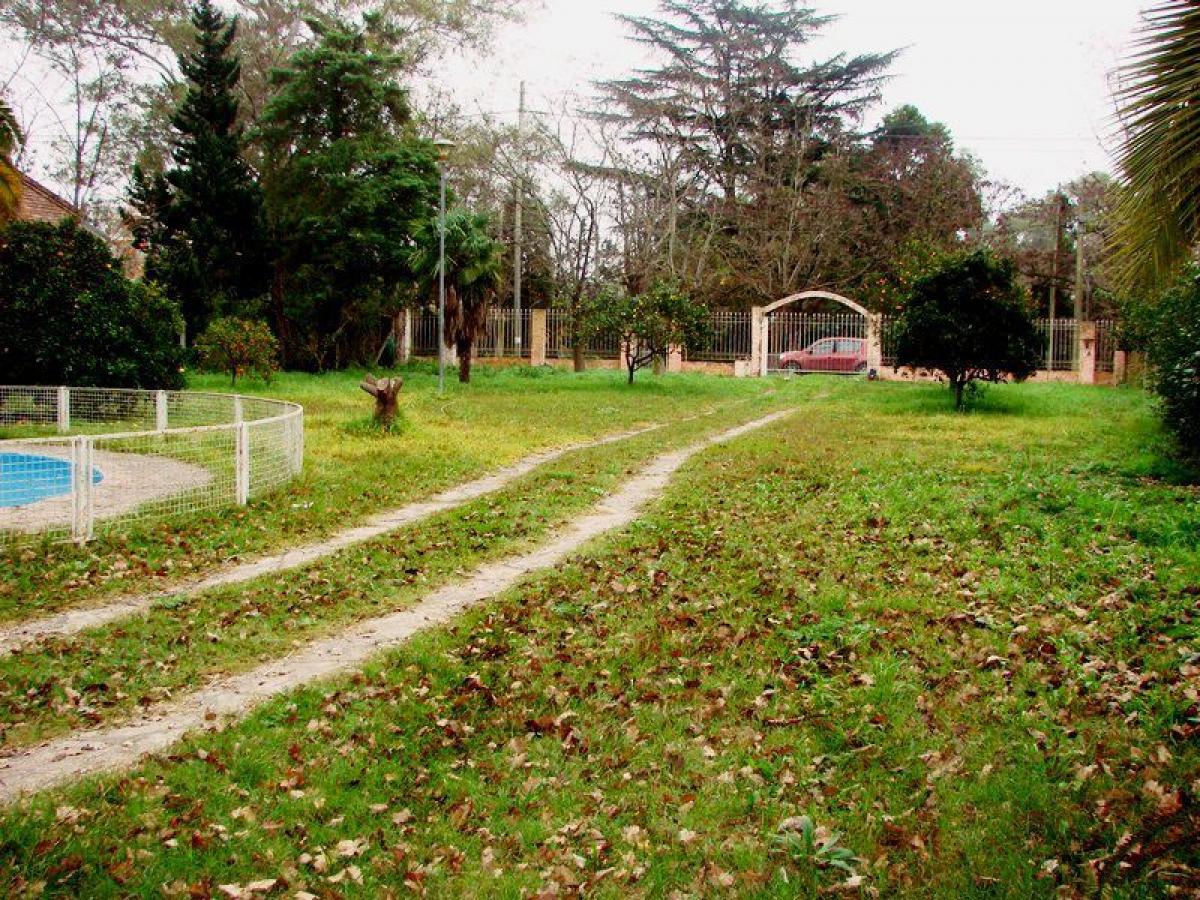  Farm in Ituzaingo, Argentina No. 49891