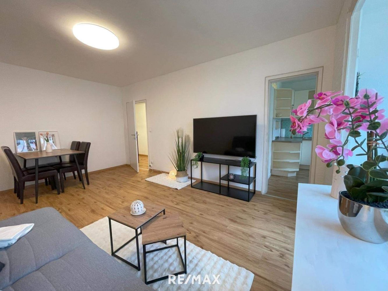 2 rooms Apartment in Scharding, Austria No. 74359