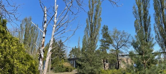  Commercial property in Hoyerswerda, Germany No. 367953 12