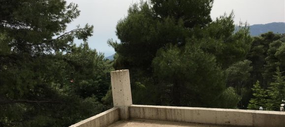 4 bedrooms Property in Afidnes, Greece No. 5099 6