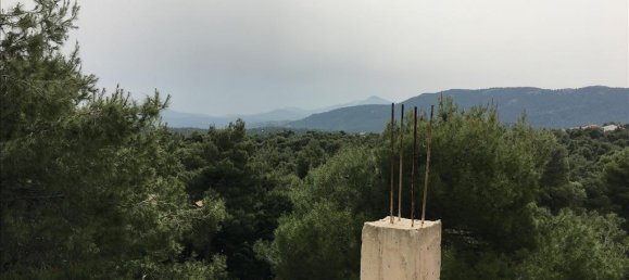 4 bedrooms Property in Afidnes, Greece No. 5099 8