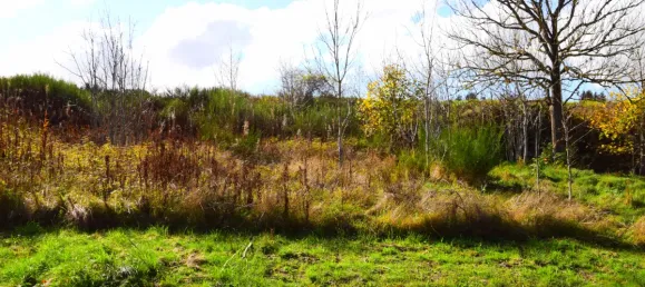 Grundstück in Coucouron, France 900m², Nr. 95726 3