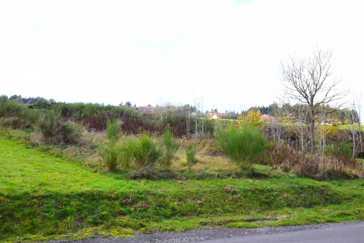 Grundstück in Coucouron, France 900m², Nr. 95726