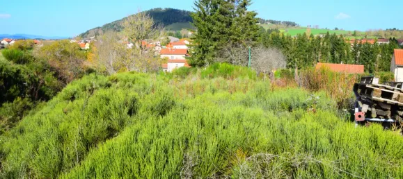 Grundstück in Coucouron, France 900m², Nr. 95726 4