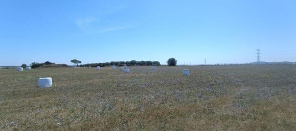 69760m² Land in Santarem, Portugal No. 144600 16