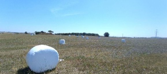 69760m² Land in Santarem, Portugal No. 144600 3