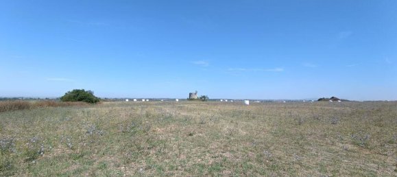 69760m² Land in Santarem, Portugal No. 144600 5