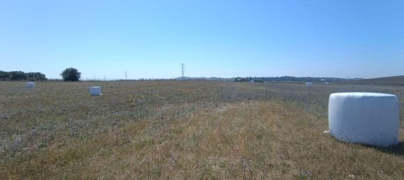 69760m² Land in Santarem, Portugal No. 144600 13
