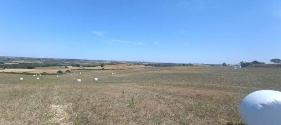 69760m² Land in Santarem, Portugal No. 144600 8