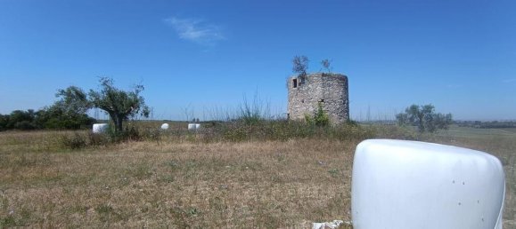 69760m² Land in Santarem, Portugal No. 144600 9