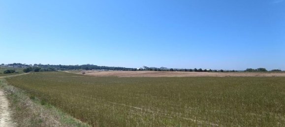 69760m² Land in Santarem, Portugal No. 144600 7