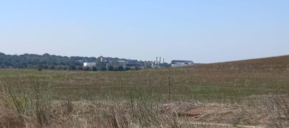 69760m² Land in Santarem, Portugal No. 144600 19