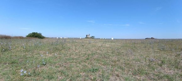 69760m² Land in Santarem, Portugal No. 144600 21