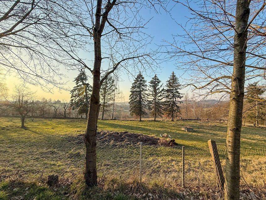 Terrain à Dresden, Germany No. 370587