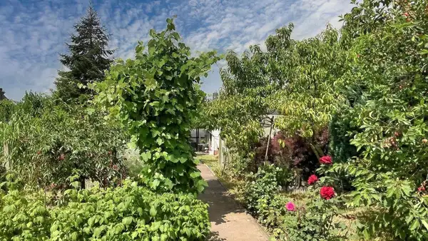  Land in Saalekreis, Germany No. 280410