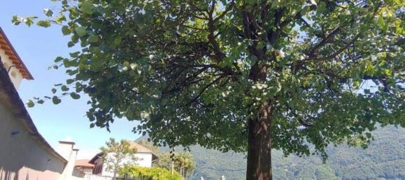 Studio in Porlezza, Italy, Nr. 66503 20