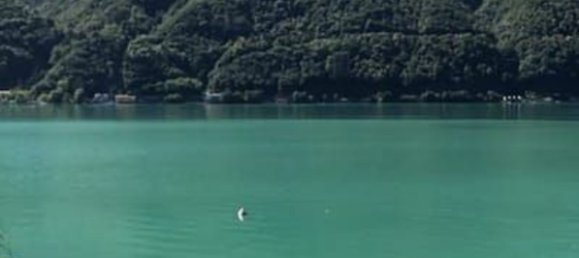 Studio in Porlezza, Italy, Nr. 66503 15