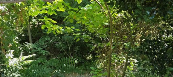 4 Schlafzimmer Villa in Saint-Paul-de-Fenouillet, France, Nr. 336146 14