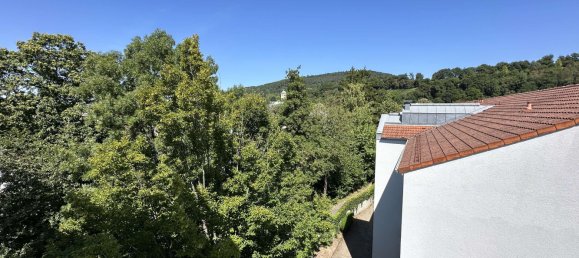 Apartamento T2 em Baden-Baden, Germany N.º 270616 27