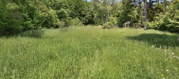 Terrain à Purkersdorf, Austria No. 166326 3