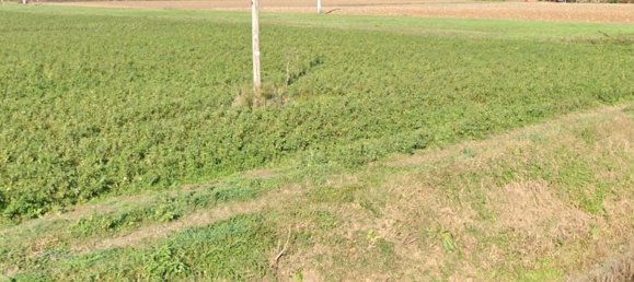 Casa de 5 habitaciónes en Castelfranco Emilia, Italy No. 80576 3