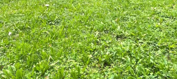 Casa de 5 habitaciónes en Castelfranco Emilia, Italy No. 80576 17