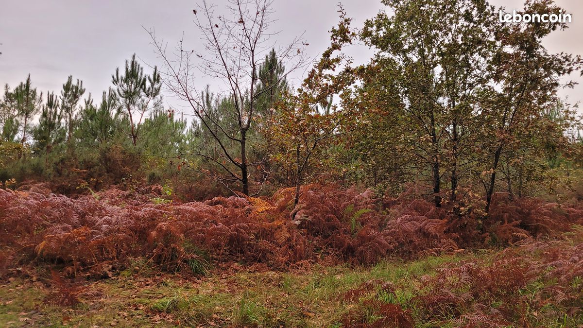  Land in Mios, France No. 318943