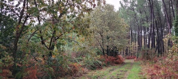  Land in Mios, France No. 318943 3