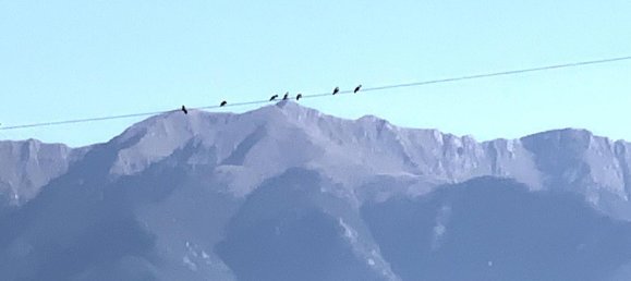 9-Zimmer Haus in Mulazzo, Italy, Nr. 203727 56