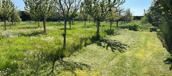 5 غرف نوم منزل في Sainte-Maure, France رقم 75362 13