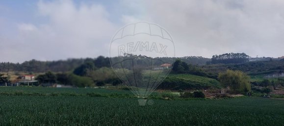 2 bedrooms House in Atouguia da Baleia, Portugal No. 29910 6