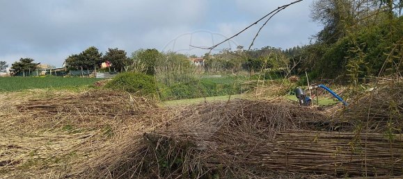 2 bedrooms House in Atouguia da Baleia, Portugal No. 29910 7