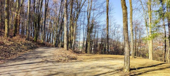 5-Zimmer Haus in Bad Gleichenberg, Austria, Nr. 186487 34