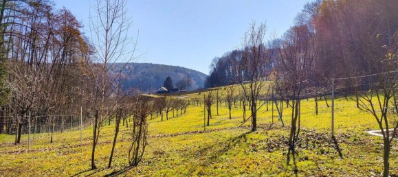 5-Zimmer Haus in Bad Gleichenberg, Austria, Nr. 186487 36