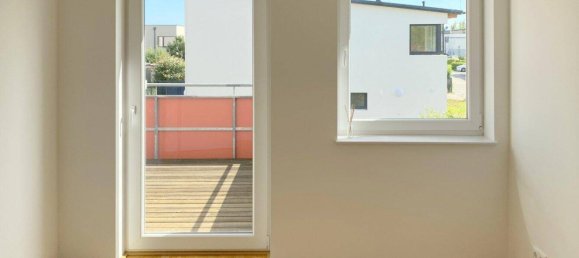 2 rooms Apartment in Fels am Wagram, Austria No. 255822 4