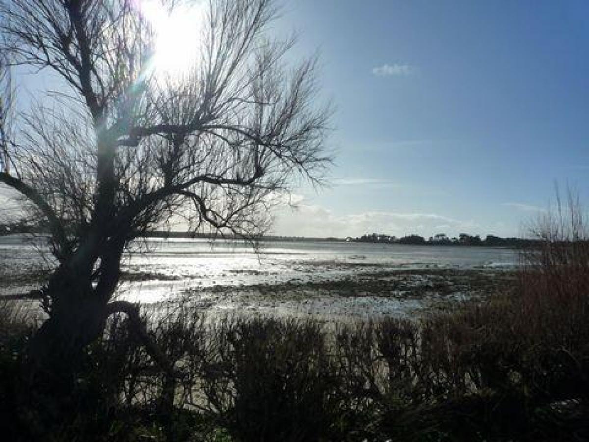 Studio in Roscoff, France No. 3651