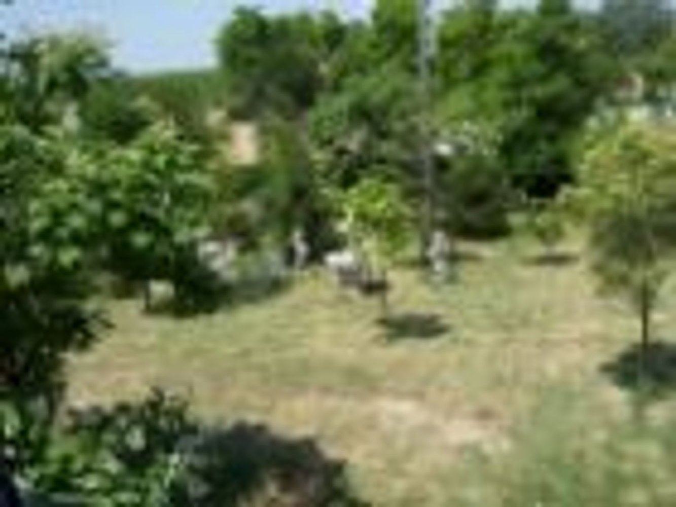 7غرفة منزل في Alfonsine, Italy رقم 255274