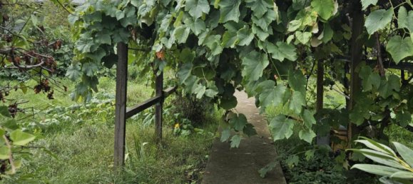 Grundstück in Mannheim, Germany, Nr. 224025 3