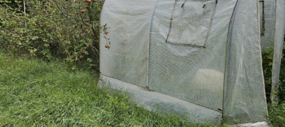 Grundstück in Mannheim, Germany, Nr. 224025 2