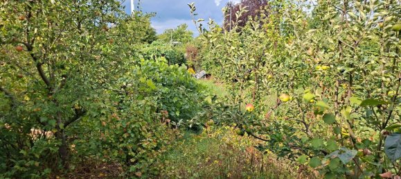 Grundstück in Mannheim, Germany, Nr. 224025 11