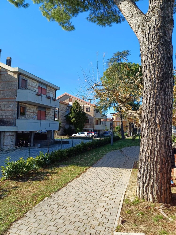 4 rooms Apartment in Penna in Teverina, Italy No. 42166