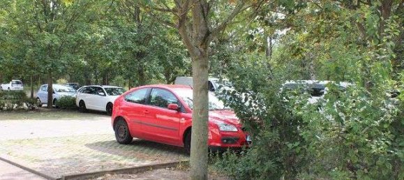 1 bedroom Apartment in Saxony-Anhalt, Germany No. 176088 7