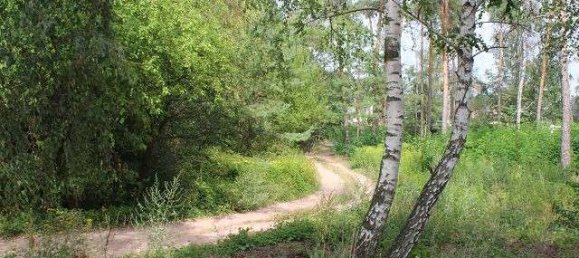 1 bedroom Apartment in Saxony-Anhalt, Germany No. 176088 6