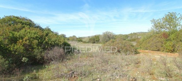  قطعة أرض في Paderne, Portugal 8000متر مربع رقم 86898 4