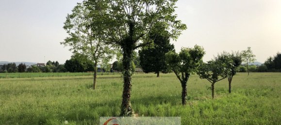 8-Zimmer Haus in Vicenza, Italy, Nr. 144320 13