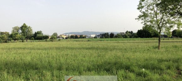 8-Zimmer Haus in Vicenza, Italy, Nr. 144320 5