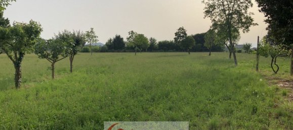 8-Zimmer Haus in Vicenza, Italy, Nr. 144320 6