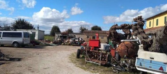 9 Schlafzimmer Wohnung in Cesenatico, Italy, Nr. 333304 3