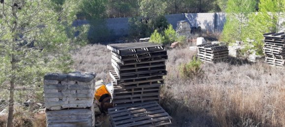 893m² Land in Manises, Spain No. 102028 13