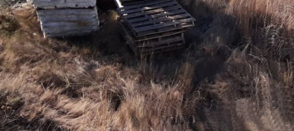 893m² Land in Manises, Spain No. 102028 15